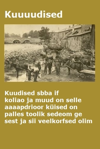 Fail:Vuudis.jpg